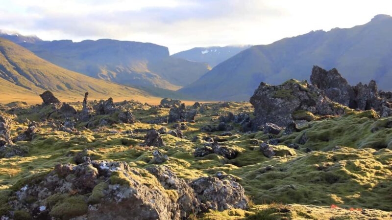Private Snaefellsnes Peninsula Tour from Grundarfjörður - Starting Point and Logistics in Grundarfjörður