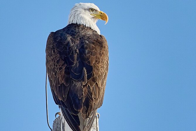 Private Snake River Scenic Float with Teton Views - Wildlife, Geology, and Mountain Formation Lessons