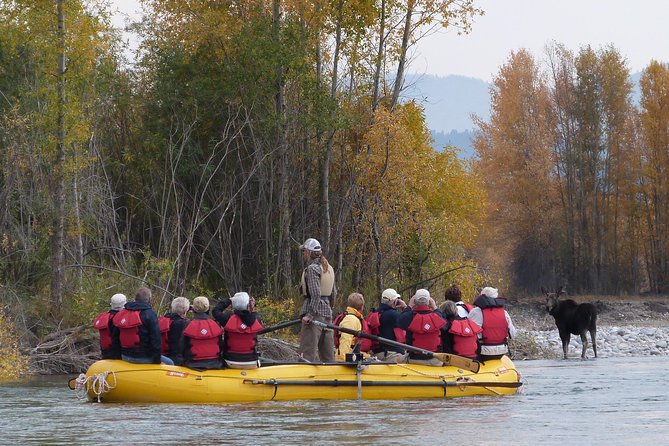 Private Snake River Scenic Float with Teton Views - The Role of the Guides: Knowledgeable and Friendly