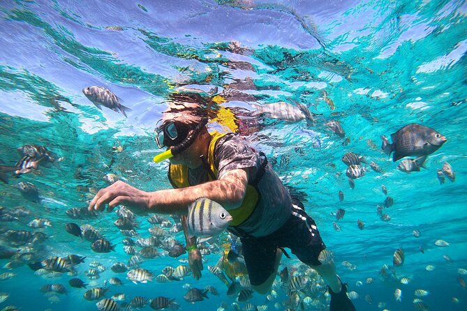 Private Snorkel and Isla Mujeres Tour - Return Cruise with Eye-Catching Coastal Views