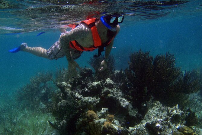 Private Snorkel and Isla Mujeres Tour - Meeting Point and Easy Access