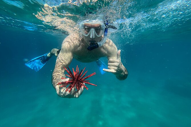 Private Snorkel Photos Included - Key Points
