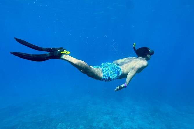 Private Snorkel Photos Included - Exploring Maui’s Marine Life in Crystal Clear Waters