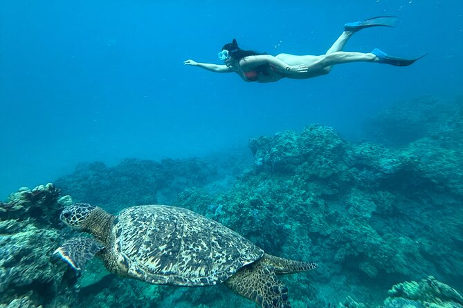 Private Snorkel Photos Included - The Role of the Guide in Your Snorkeling Experience