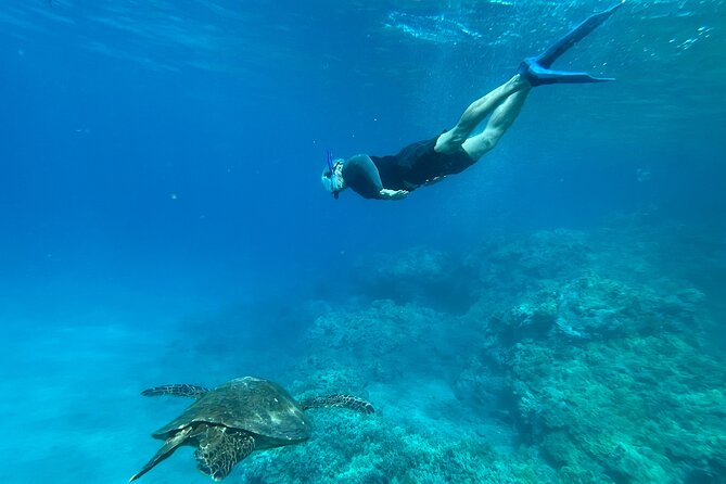 Private Snorkel Photos Included - Comparing This Tour to Larger Group Snorkel Excursions
