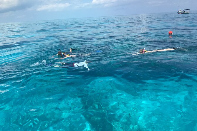 Private Snorkel to Key Largo Reef for up to 12 - INCLUDES GEAR! - Discover the Private Snorkel Experience at Key Largos John Pennekamp Reef