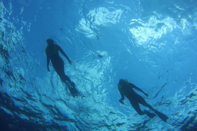 Private Snorkel to Key Largo Reef for up to 12 - INCLUDES GEAR! - Pacing and Snorkel Sessions at the Reef