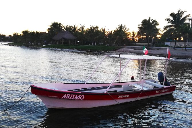 Private Snorkel Tour On The Reef Lagoon - Key Points