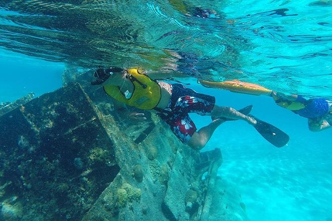 Private Snorkeling Adventure in Cancun - Logistics: Pickup, Transport, and Additional Costs