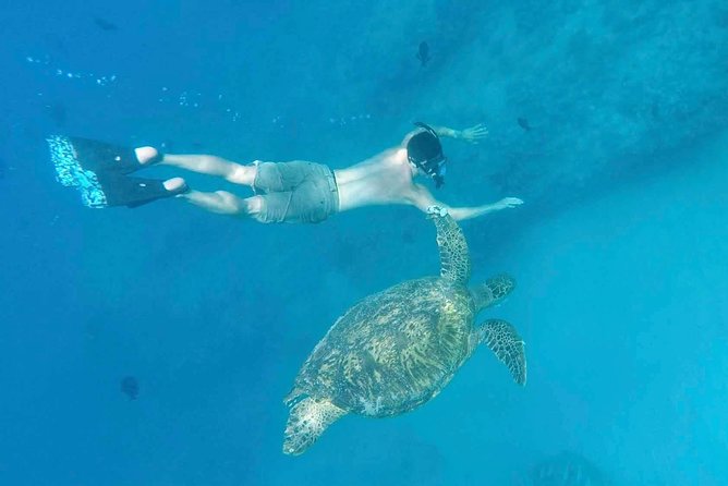 Private Snorkeling and Wildlife on The Adventure Boat - Starting Point and Booking Details in Honolulu