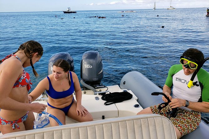 Private Snorkeling and Wildlife on The Adventure Boat - Meeting Point and Accessibility for Guests