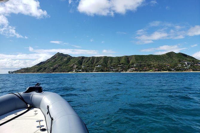 Private Snorkeling and Wildlife on The Adventure Boat - Booking, Cancellation, and Weather Policies