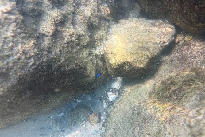 Private Snorkeling Excursion - Key Points