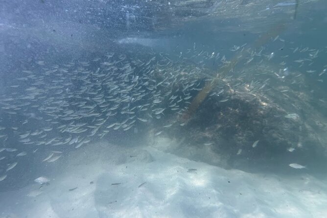 Private Snorkeling Excursion - Customizable Experiences for Special Occasions