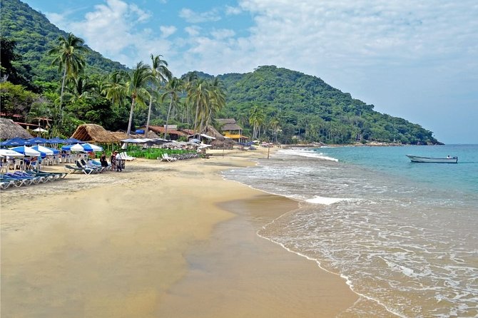 Private Snorkeling Experience and Boat tour to Las Animas Beach - Discover Puerto Vallartas Marine Life and Secluded Beach on a Private Snorkeling Tour