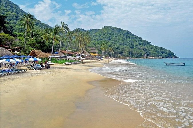 Private Snorkeling Experience and Boat tour to Las Animas Beach - Flexibility and Personalization: Swim, Relax, or Have Lunch