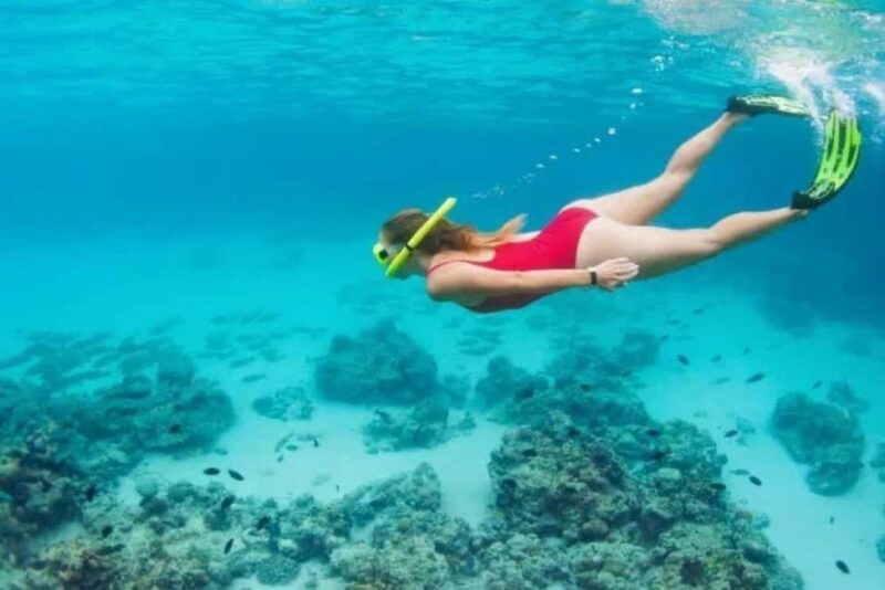 Private Snorkeling & Lunch Nature Reserve Garajau - Included Amenities and Practical Details