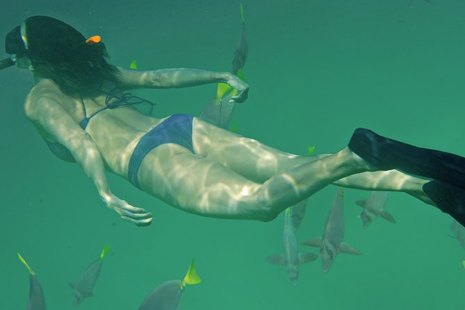 Private Snorkeling Tour in Cabo San Lucas - What Sets This Tour Apart from Others