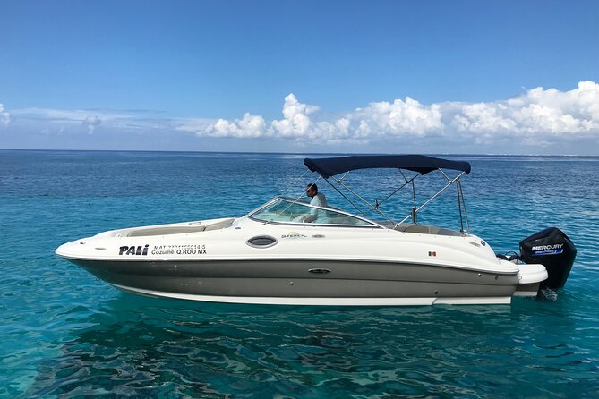 Private snorkeling with 23ft Sea Ray in San Miguel de Cozumel - The Experience Provider: Sun&Sky Cozumel