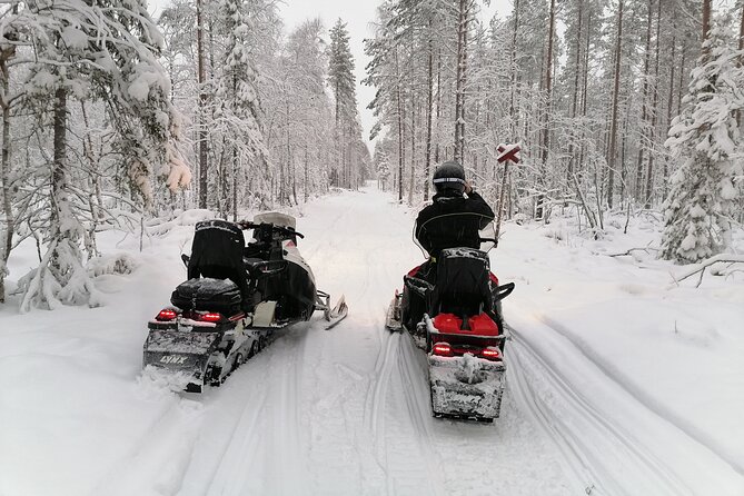 Private Snowmobile Experience in Rovaniemi's Forest - Experience the Arctic Landscape with Expert Guidance