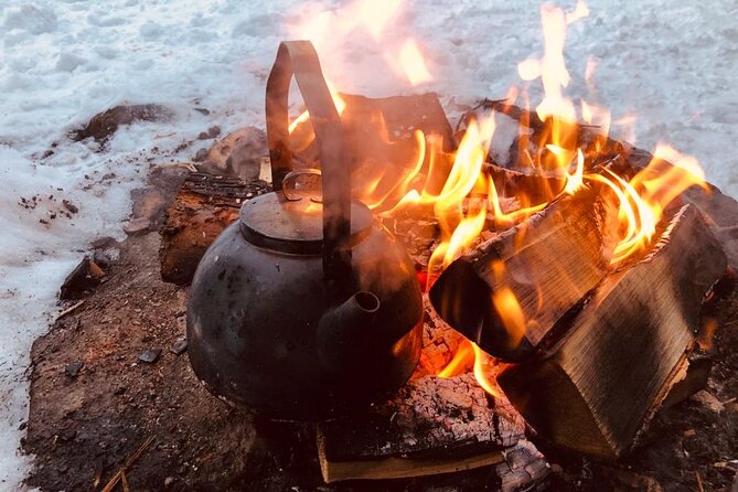 Private Snowmobile Experience in Rovaniemi's Forest - Flexibility with Booking and Cancellations