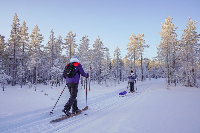 Private Snowshoe or Ski Adventure in Lapland - The Expertise of Guides and Personal Touch