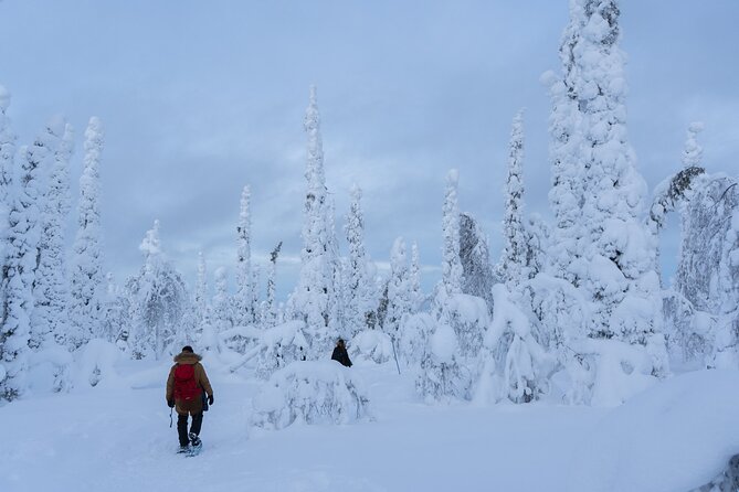 Private Snowshoe or Ski Adventure in Lapland - Physical Requirements and Accessibility