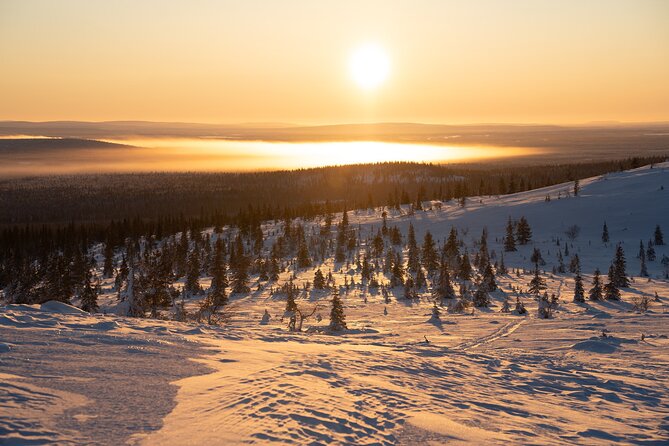 Private Snowshoe or Ski Adventure in Lapland - Weather and Cancellation Policies