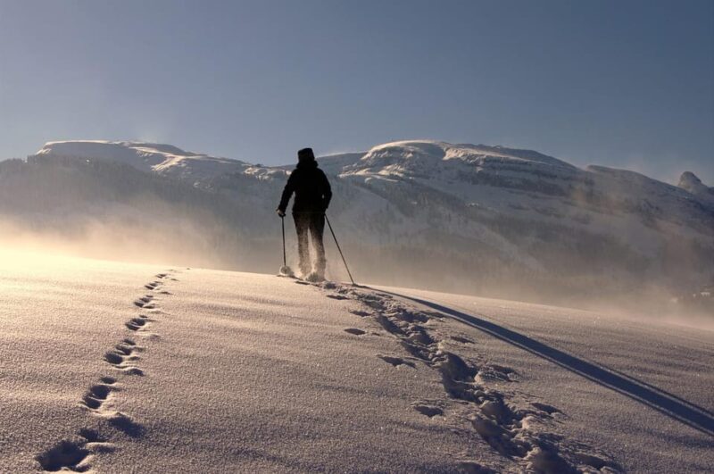 Private Snowshoeing full day - How This Tour Compares to Similar Winter Activities