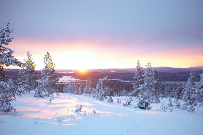 Private: Snowshoeing Safari in spectacular National Park - Exploring the Deep Snow in Pallas Fells