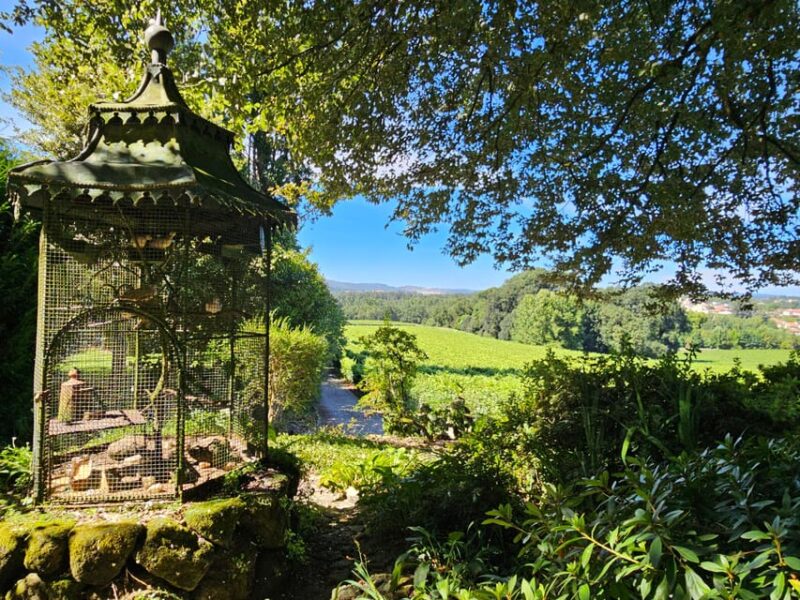 Private Sommelier Tour (Verde e Douro): 3 Wineries and Lunch - Visiting the Verde Region Winery