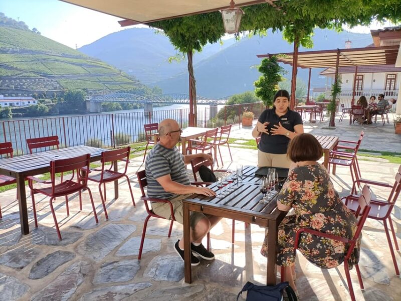 Private Sommelier Tour (Verde e Douro): 3 Wineries and Lunch - Physical Requirements and Practical Tips
