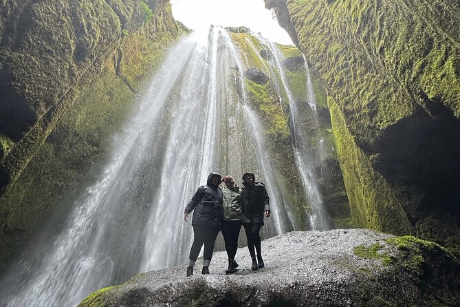 Private South Coast tour / Black Sand Beach, Waterfalls and more - Dyrhólaey: Coastal Views and Birdlife