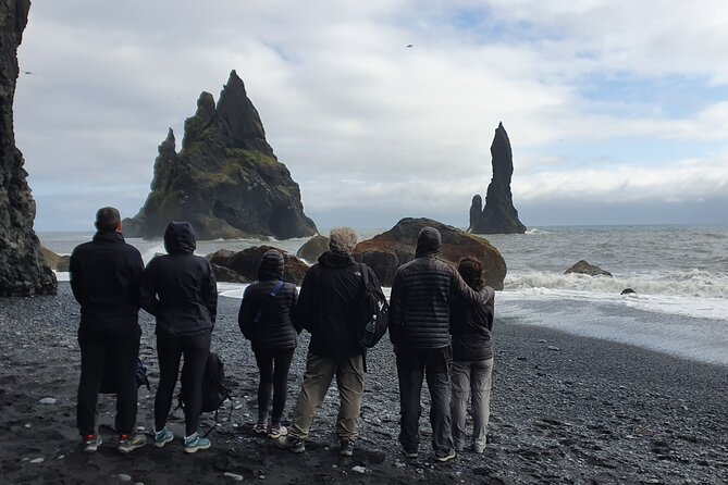 Private South Coast Tour in Multi-Language Guide Options - Walk Along Reynisfjara Beach with Black Sands and Basalt Columns
