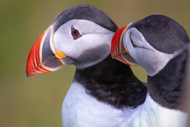 Private South Coast Tour with a Professional Photographer/Guide - Visiting Seljalandsfoss: Walking Behind a Waterfall