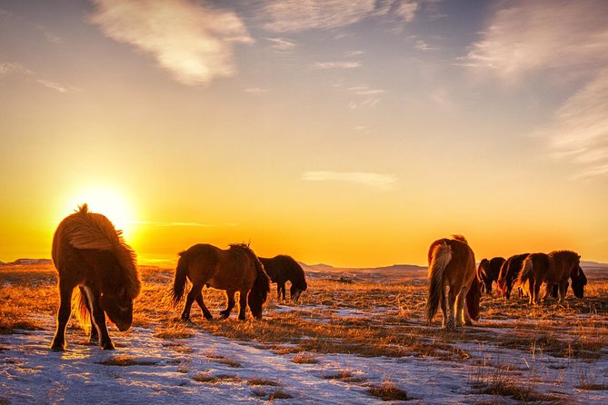 Private South Coast Tour with a Professional Photographer/Guide - Skógafoss: Iceland’s Magnificent 62-Meter Drop