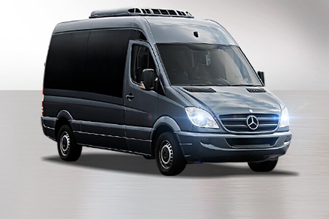 Private South Tenerife Airport Transfer to South Hotels - Limitations and Considerations