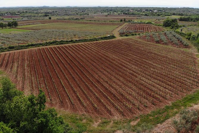 Private Sparkling Wine Tasting in Istria - Key Points