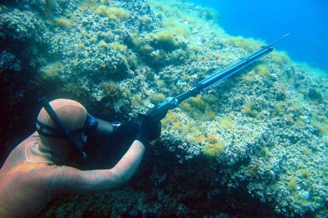 Private Spearfishing Trip From Athens - Key Points