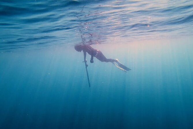 Private Spearfishing Trip From Athens - Relaxing at a Private Villa for Post-Fishing Leisure