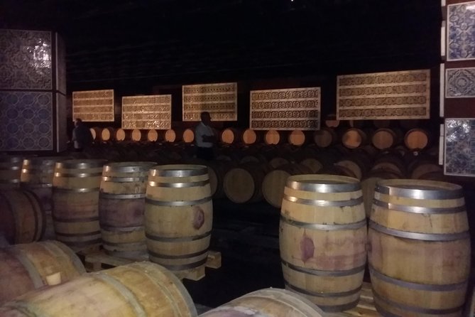 Private Special Tour Around Lisbon and Wine Tasting - Logistics: Pickup, Transport, and Group Size