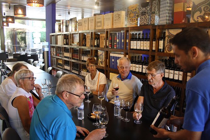 Private Special Tour Around Lisbon and Wine Tasting - Value and Overall Experience