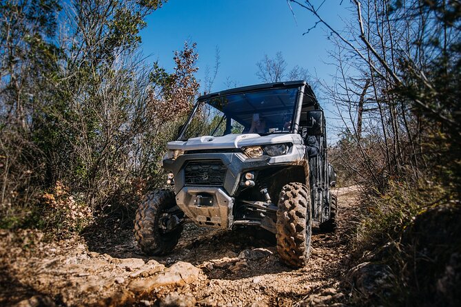 Private Speedboat Tour to Elafiti Islands - Logistics: Meeting Point and Group Size