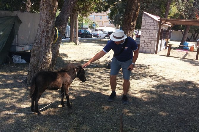 Private Split to Dubrovnik transfer with Mostar tour - Comfortable Private Transfer with a Scenic Stop in Mostar