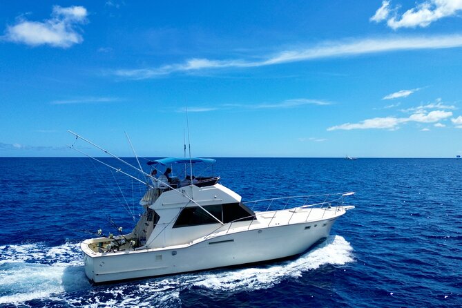 Private Sport Fishing Charters - The Actual Fishing: What to Expect