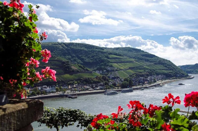 Private sports boat experience on the Rhine and, if you wish, with a castle visit - Discover the Rhine from a Private Sport Boat with Castle and Wine Options