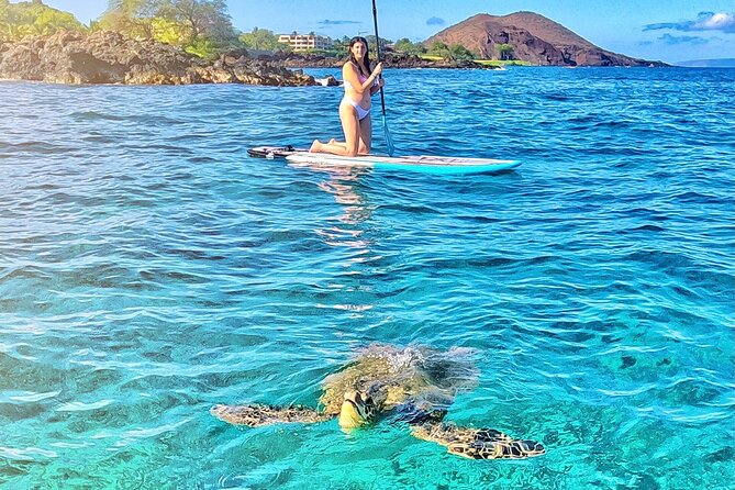 Private Stand Up Paddle Boarding Tour in Turtle Town, Maui - The Value of a Private Tour in Maui