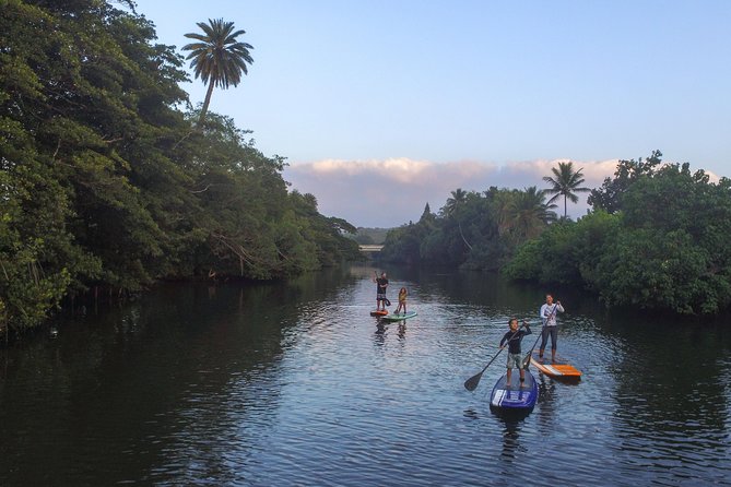 Private Stand up Paddle Lesson and Tour (for 1 or more paddlers) - Exploring Haleiwa Bay and the Anahulu Stream