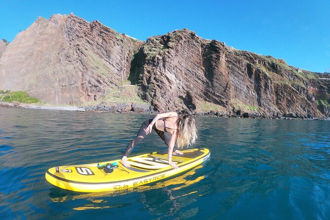 Private Stand Up Paddle Tour in Câmara de Lobos - The Role of the Private Guide and Equipment