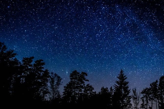 Private Stargazing - Sequoia National Park - Unique Stargazing Experience in Sequoia National Park for Groups Up to One